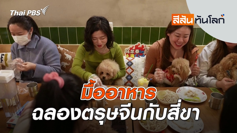 ​มื้ออาหารฉลองตรุษจีนกับสี่ขา | สีสันทันโลก | 1 ก.พ. 68