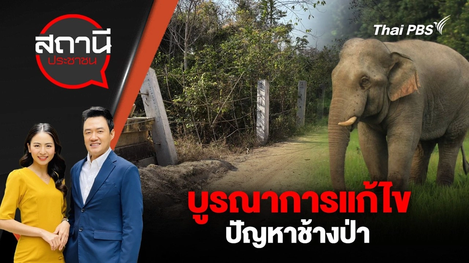 บูรณาการแก้ไขปัญหาช้างป่า