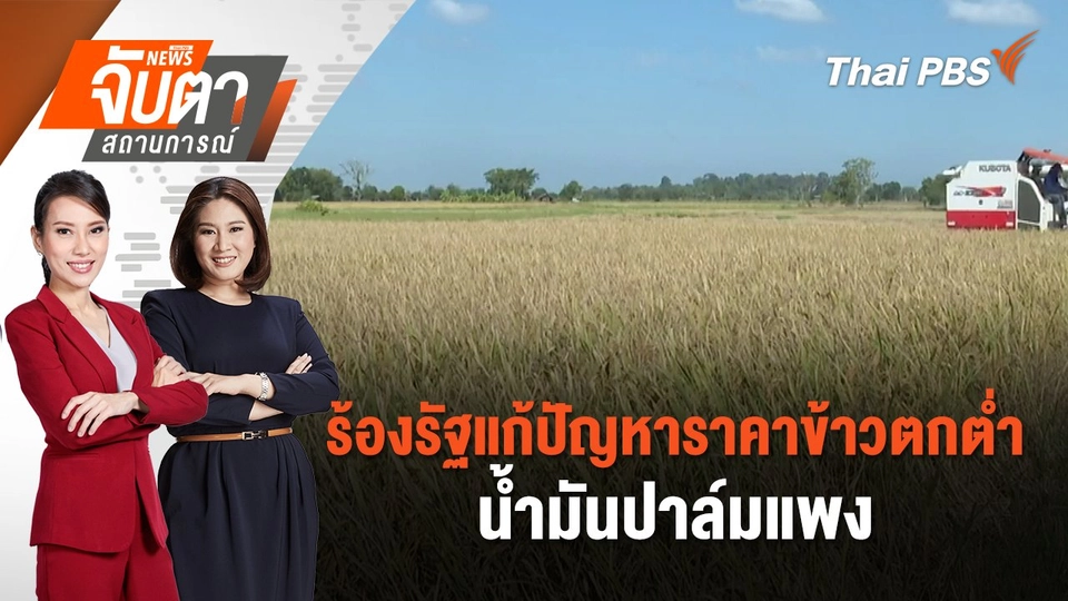 ร้องรัฐแก้ปัญหาราคาข้าวตกต่ำ - น้ำมันปาล์มแพง | จับตาสถานการณ์ | 19 ก.พ. 68