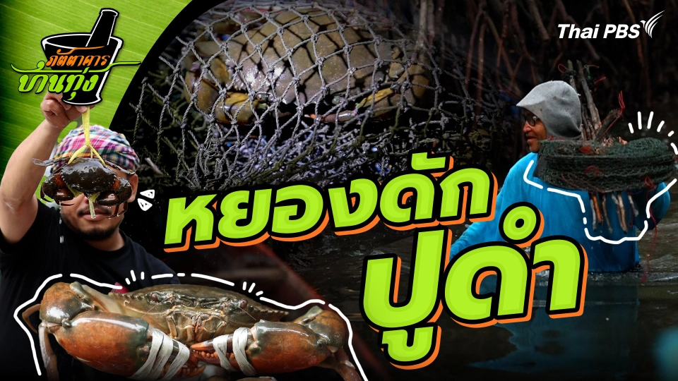 หยองดักปูดำ