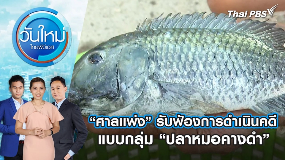 “ศาลแพ่ง” รับฟ้องการดำเนินคดีแบบกลุ่ม “ปลาหมอคางดำ” | 5 มี.ค. 68