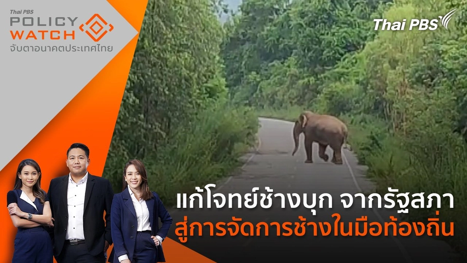 แก้โจทย์ช้างบุก จากรัฐสภาสู่การจัดการช้างในมือท้องถิ่น