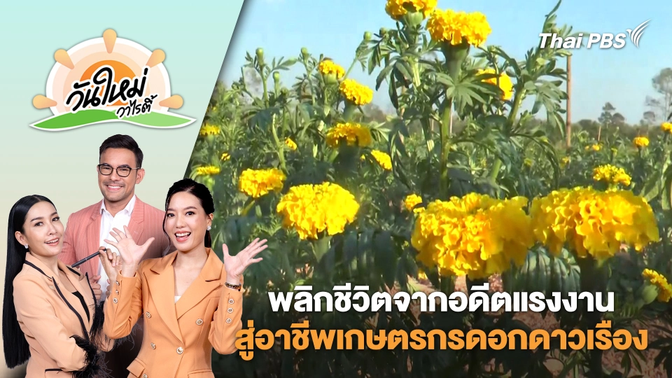 พลิกชีวิตจากอดีตแรงงานสู่อาชีพเกษตรกรดอกดาวเรือง สร้างรายได้ | วันใหม่วาไรตี้ | 14 มี.ค. 68