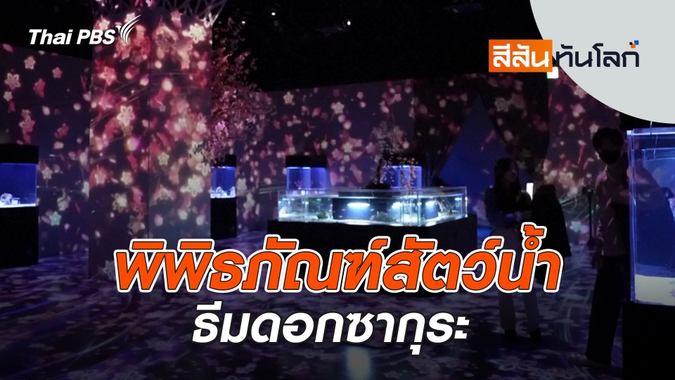 พิพิธภัณฑ์สัตว์น้ำธีมดอกซากุระ | 22 มี.ค. 68