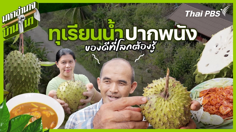 ทุเรียนน้ำปากพนัง ของดีที่โลกต้องรู้