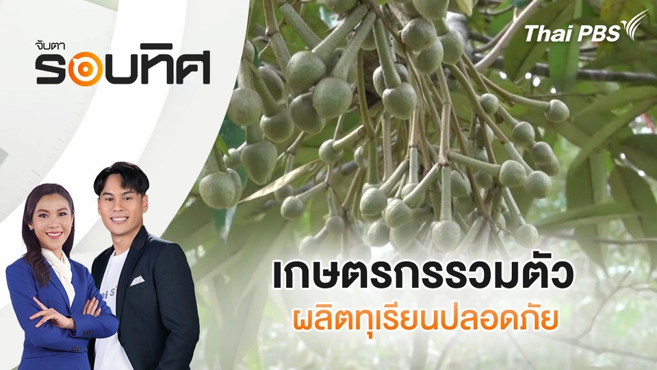 ​เกษตรกรรวมตัวผลิตทุเรียนปลอดภัย | จับตารอบทิศ | 21 มี.ค. 68