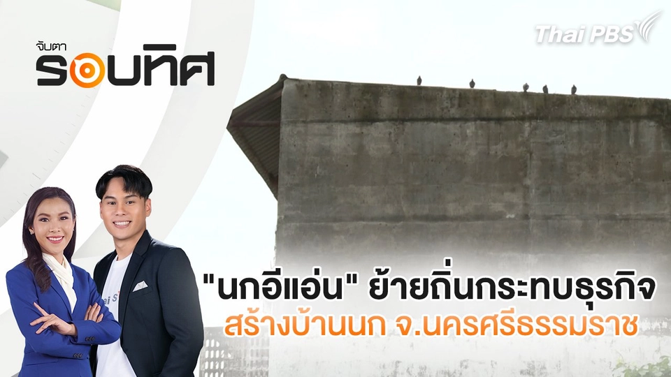 "นกอีแอ่น" ย้ายถิ่นกระทบธุรกิจสร้างบ้านนก จ.นครศรีธรรมราช | จับตารอบทิศ | 12 พ.ย. 67