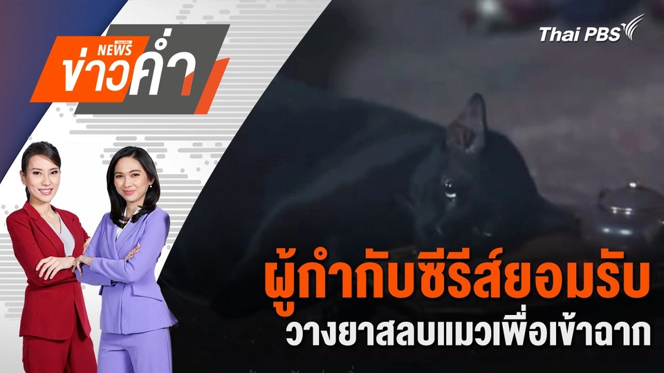 ผู้กำกับซีรีส์ยอมรับ วางยาสลบแมวเพื่อเข้าฉาก | 9 พ.ย. 67