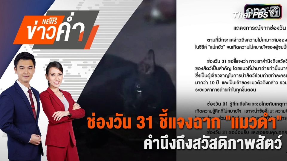 ช่องวัน 31 ชี้แจงฉาก "แมวดำ" คำนึงถึงสวัสดิภาพสัตว์ | 10 พ.ย. 67