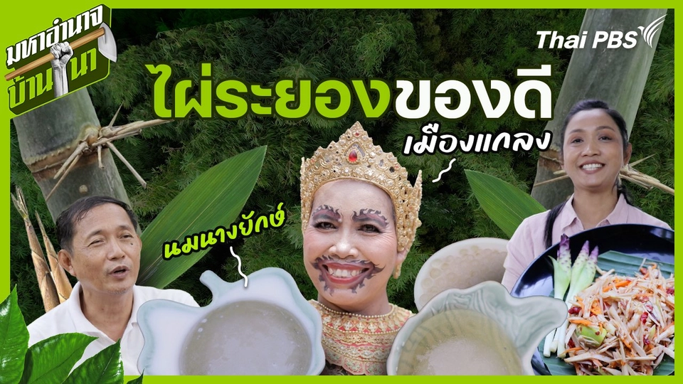 ไผ่ระยองของดีเมืองแกลง