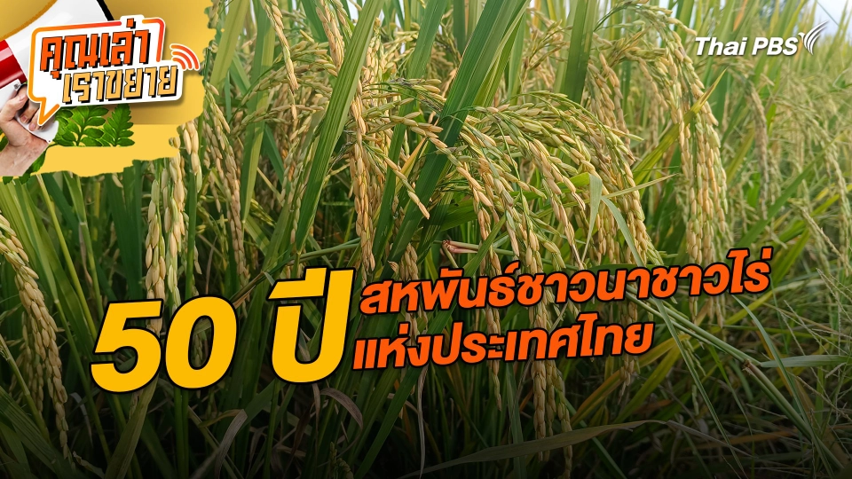 50 ปี สหพันธ์ชาวนาชาวไร่แห่งประเทศไทย