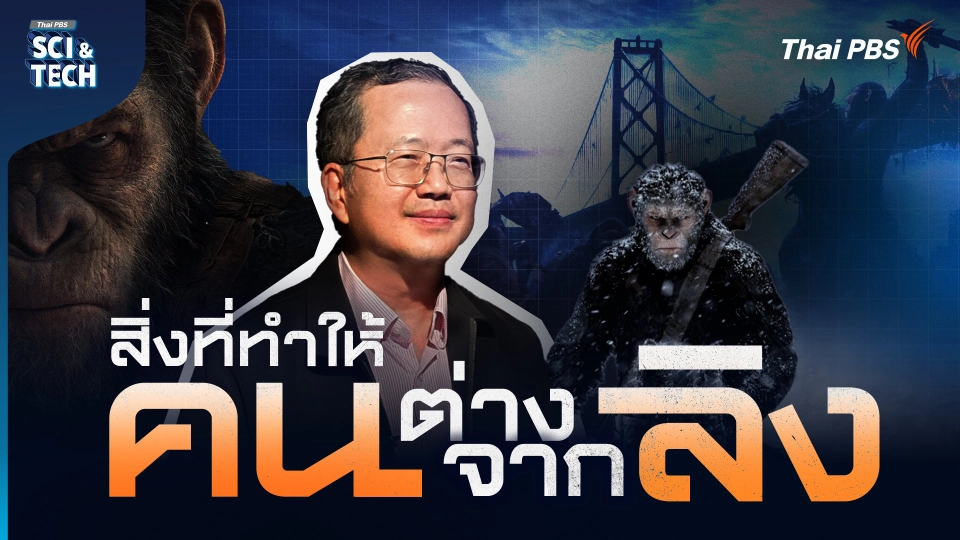 Planet Of The Apes จะเกิดอะไรขึ้น ? ถ้าหากลิง “ฉลาด” เท่ามนุษย์