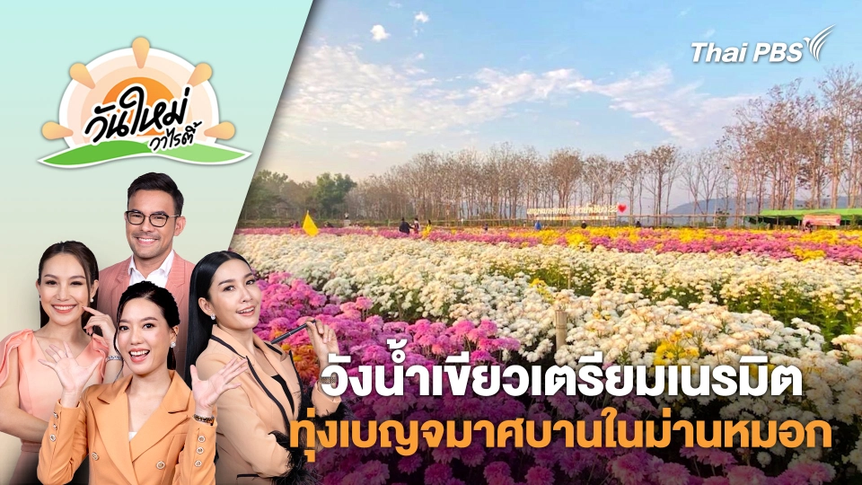 วังน้ำเขียวเตรียมเนรมิตทุ่งเบญจมาศบานในม่านหมอก รับลมหนาว | วันใหม่วาไรตี้ | 20 พ.ย. 67