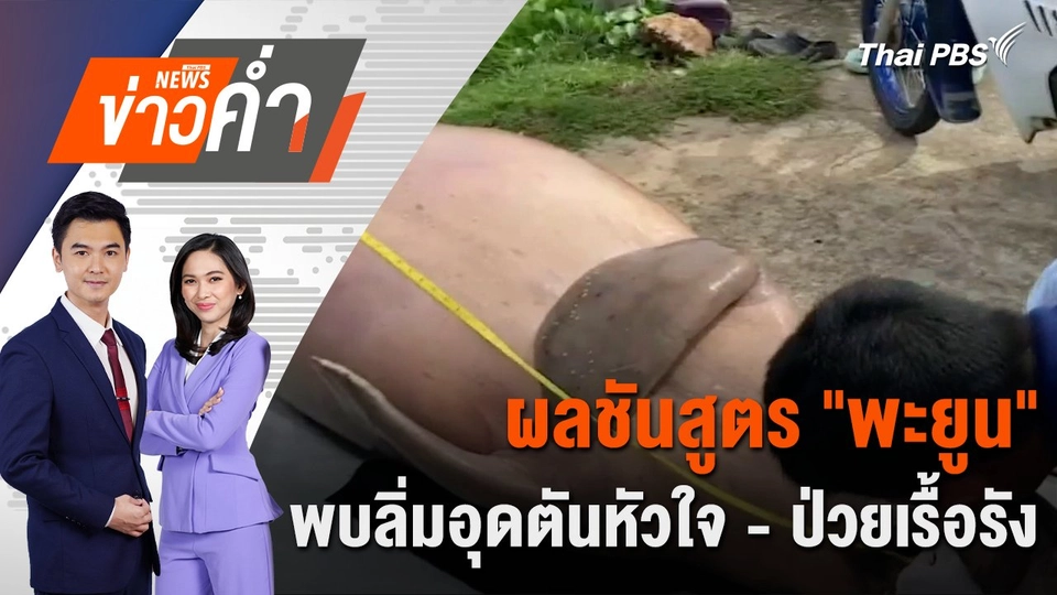 ผลชันสูตร "พะยูน" พบลิ่มอุดตันหัวใจ - ป่วยเรื้อรัง | 18 พ.ย. 67