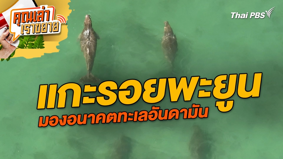 แกะรอยพะยูน มองอนาคตทะเลอันดามัน