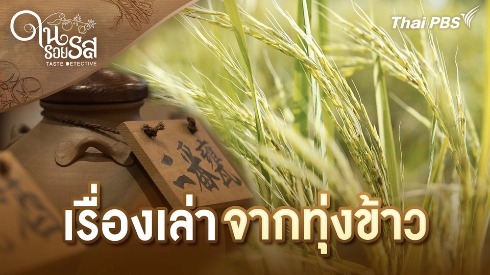 เรื่องเล่าจากทุ่งข้าว