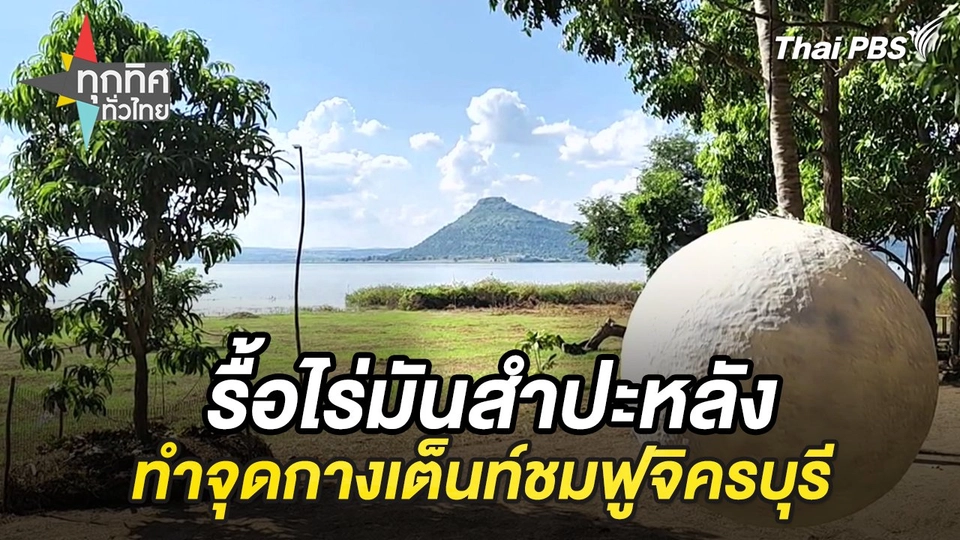 รื้อไร่มันสำปะหลังทำจุดกางเต็นท์ชมฟูจิครบุรี