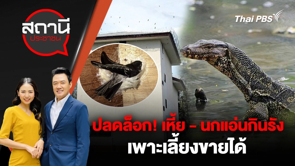 ปลดล็อก! เหี้ย - นกแอ่นกินรัง เพาะเลี้ยงขายได้