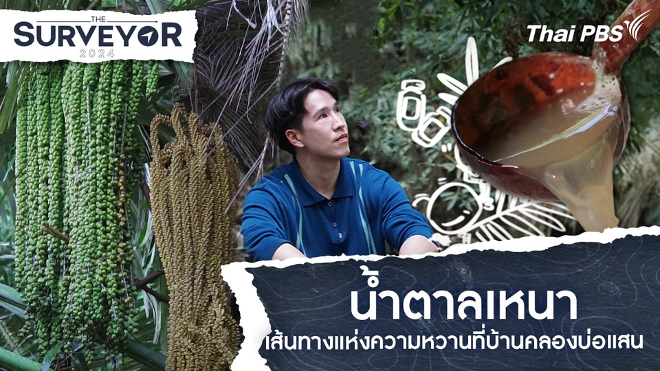 น้ำตาลเหนา เส้นทางแห่งความหวานที่บ้านคลองบ่อแสน