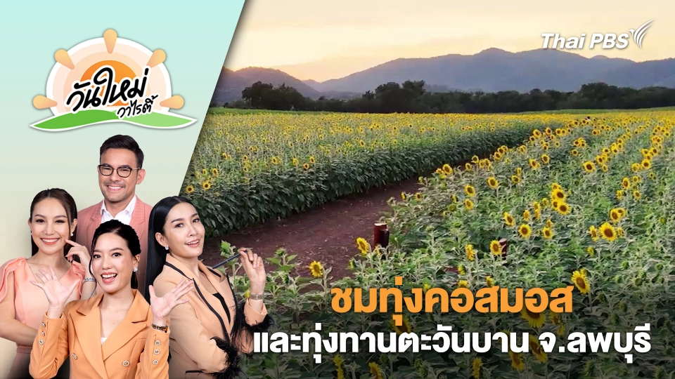 ชมทุ่งคอสมอส และทุ่งทานตะวันบาน จ.ลพบุรี | วันใหม่วาไรตี้ | 10 ธ.ค. 67