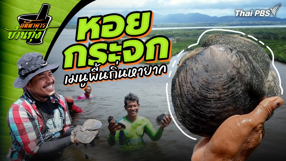 หอยกระจก