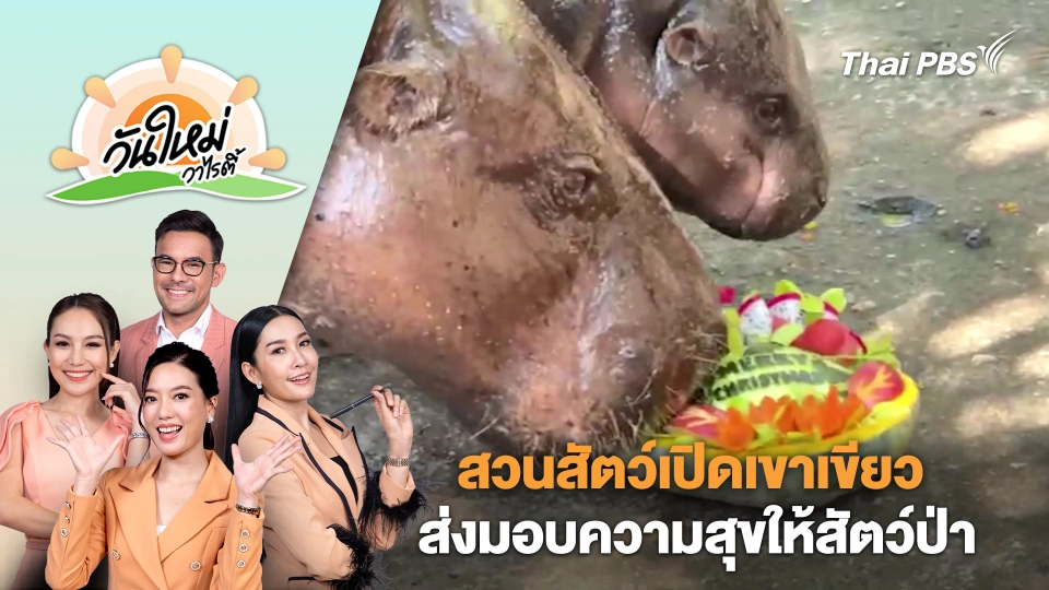 สวนสัตว์เปิดเขาเขียวจัดกิจกรรมส่งมอบความสุขให้สัตว์ป่า | วันใหม่วาไรตี้ | 26 ธ.ค. 67