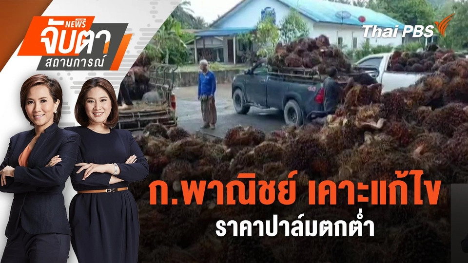 ​ก.พาณิชย์ เคาะแก้ไขราคาปาล์มตกต่ำ | 29 เม.ย. 68