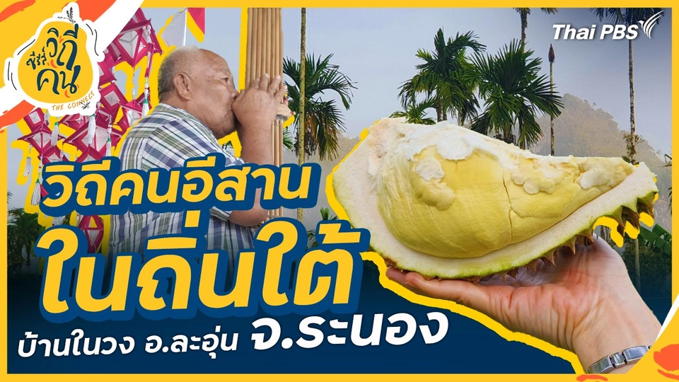 วิถีคนอีสานในถิ่นใต้ บ้านในวง อ.ละอุ่น จ.ระนอง