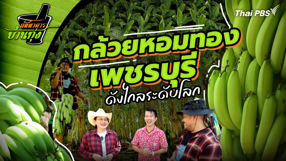 กล้วยหอมทองเพชรบุรี