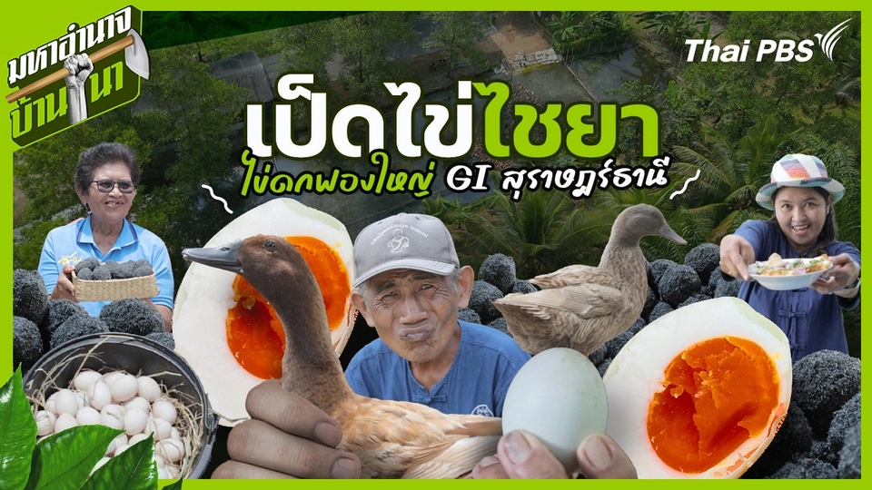เป็ดไข่ไชยา ไข่ดกฟองใหญ่ GI สุราษฎร์ธานี