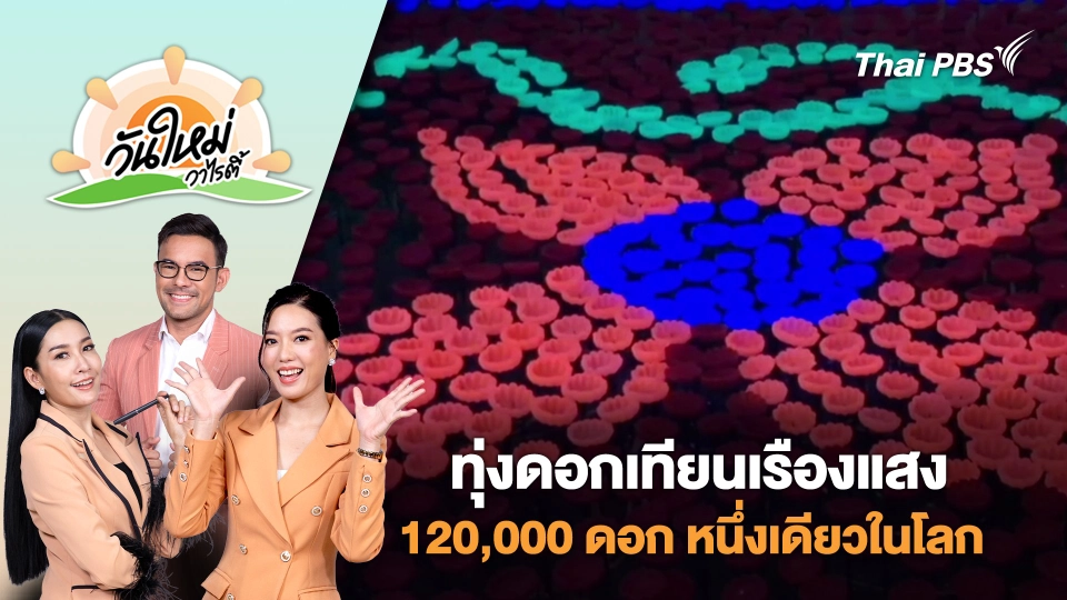 ทุ่งดอกเทียนเรืองแสง 120,000 ดอก หนึ่งเดียวในโลก จ.อุบลราชธานี | วันใหม่วาไรตี้ | 2 ก.ค. 68