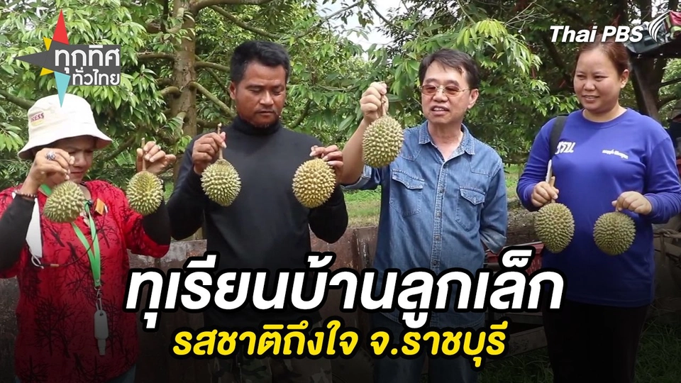 ทุเรียนบ้านลูกเล็กรสชาติถึงใจ จ.ราชบุรี