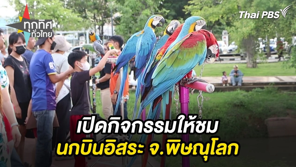 เปิดกิจกรรมให้ชมนกบินอิสระ จ.พิษณุโลก