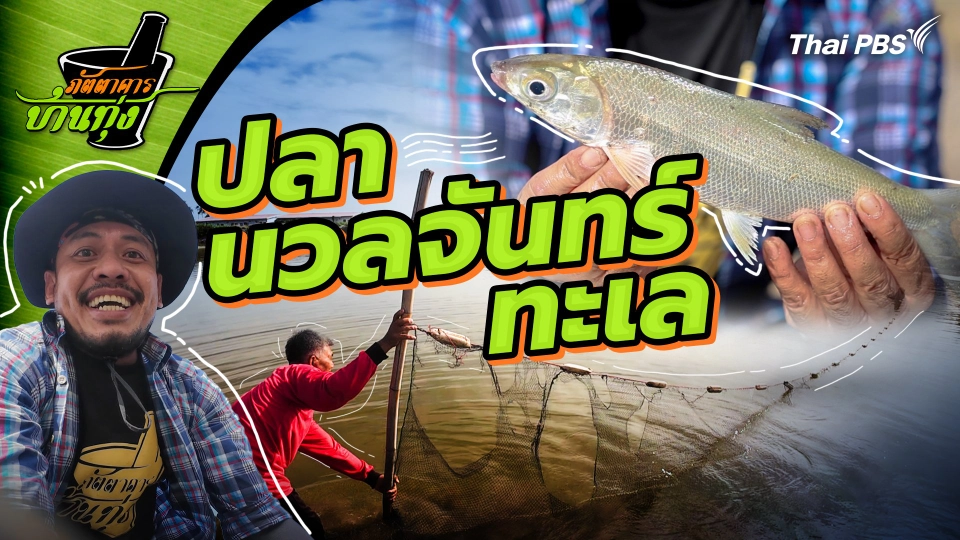 ปลานวลจันทร์ทะเล