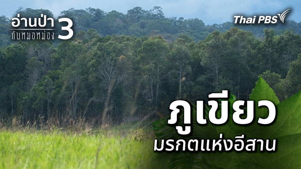 ภูเขียว มรกตแห่งอีสาน