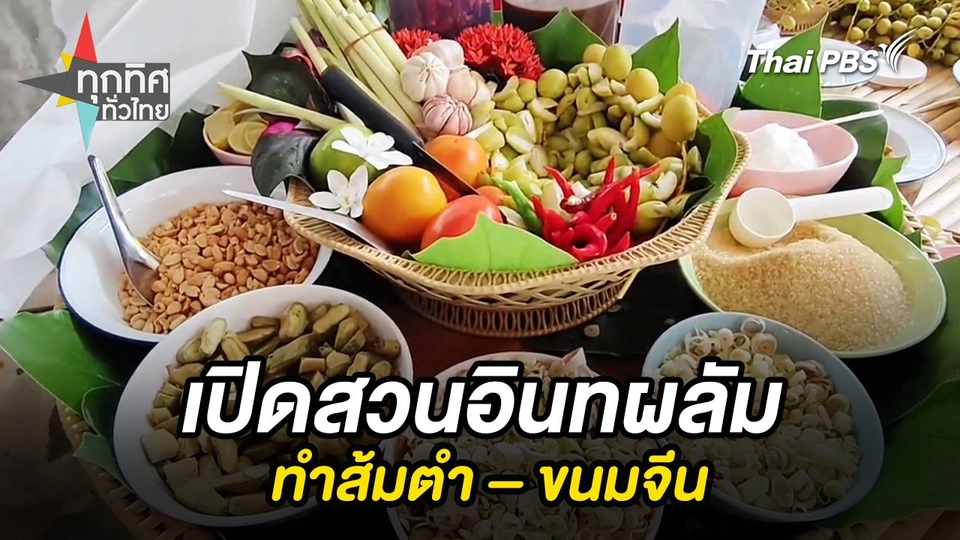 เปิดสวนอินทผลัมทำส้มตำ – ขนมจีน จ.นครราชสีมา
