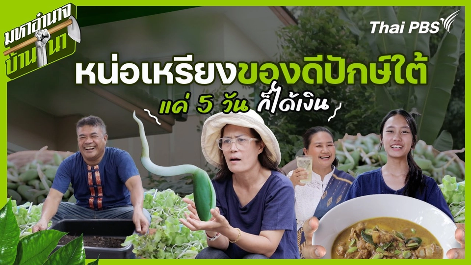 หน่อเหรียงของดีปักษ์ใต้  5 วันได้เงิน