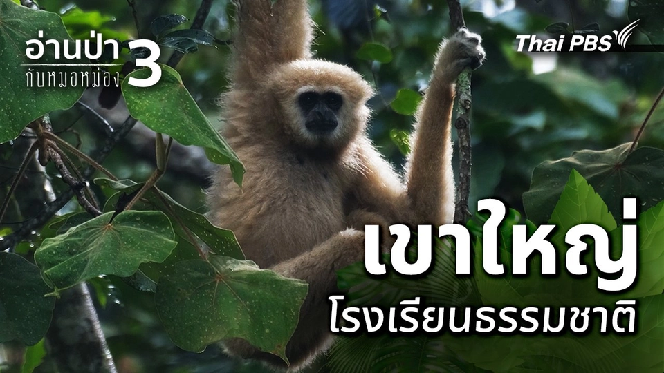 เขาใหญ่ โรงเรียนธรรมชาติ