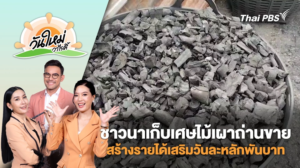 ชาวนาเก็บเศษไม้เผาถ่านขายสร้างรายได้เสริมวันละหลักพันบาท จ.นครราชสีมา | วันใหม่วาไรตี้ | 25 ส.ค. 68