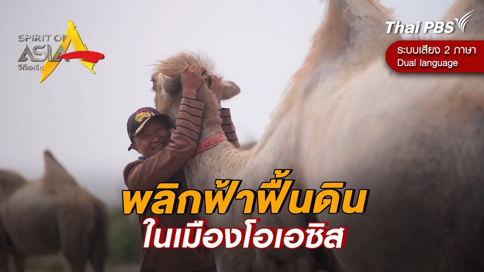 พลิกฟ้าฟื้นดินในเมืองโอเอซิส