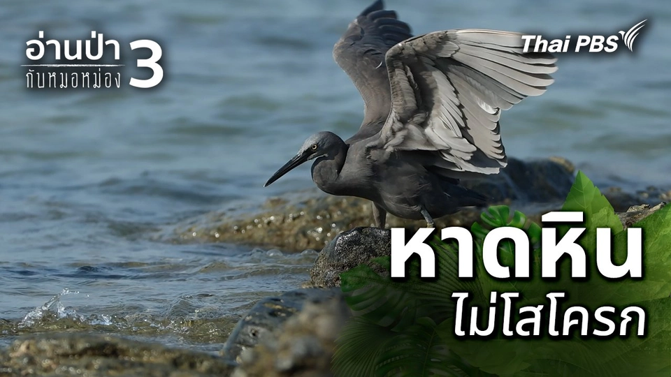 หาดหินไม่โสโครก