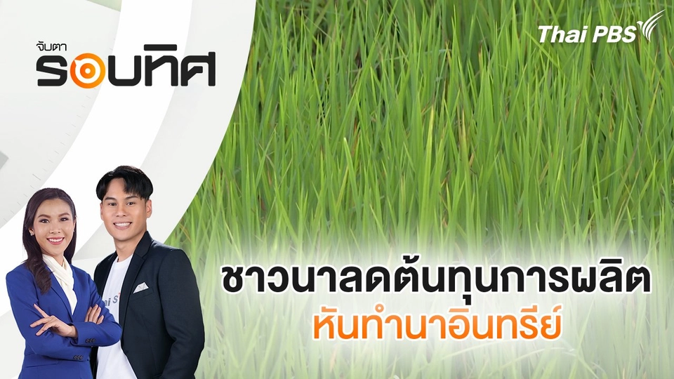 ชาวนาลดต้นทุนการผลิตหันทำนาอินทรีย์ | จับตารอบทิศ | 8 ก.ย. 68