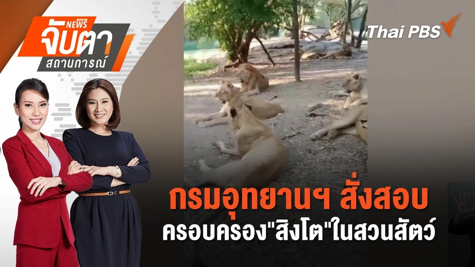 กรมอุทยานฯ สั่งสอบครอบครอง"สิงโต"ในสวนสัตว์  | 11 ก.ย. 68