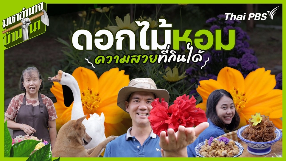 ดอกไม้หอม ความสวยที่กินได้