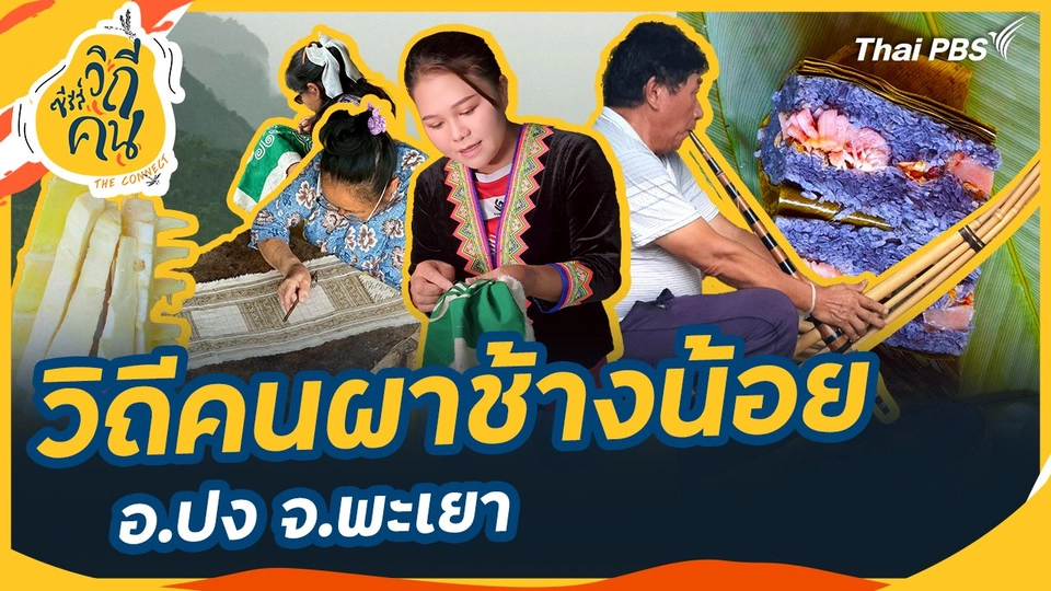 วิถีคนผาช้างน้อย  อ.ปง จ.พะเยา