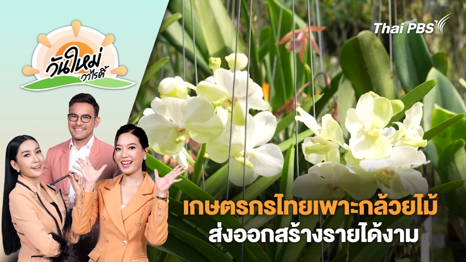เกษตรกรไทยเพาะกล้วยไม้ ส่งออกสร้างรายได้งาม | วันใหม่วาไรตี้ | 18 ก.ย. 68