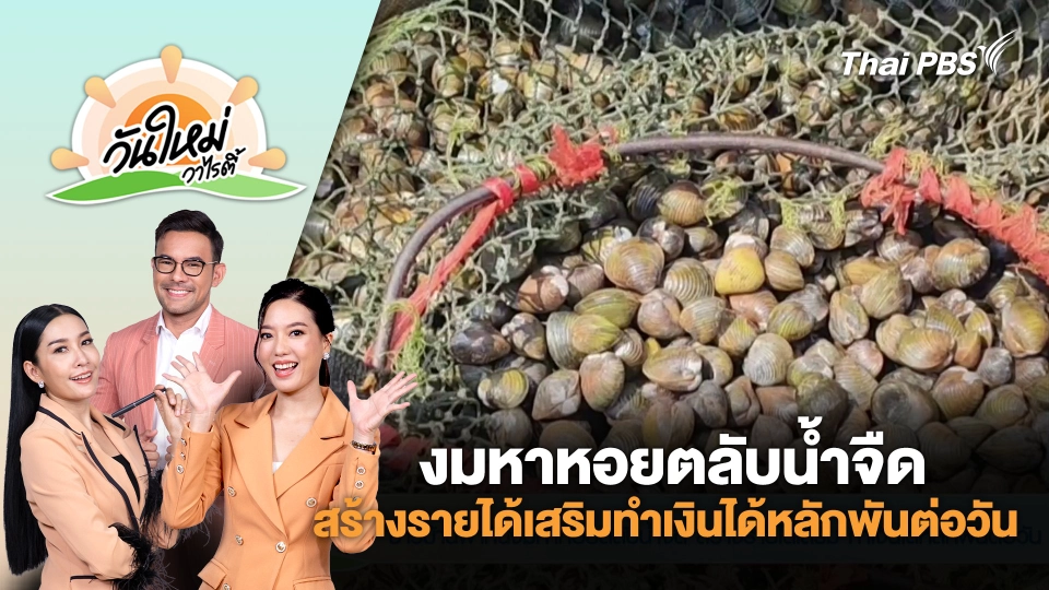 ชาวบ้านพากันงมหาหอยตลับน้ำจืดสร้างรายได้เสริมทำเงินได้หลักพันต่อวัน | วันใหม่วาไรตี้ | 8 พ.ค. 68