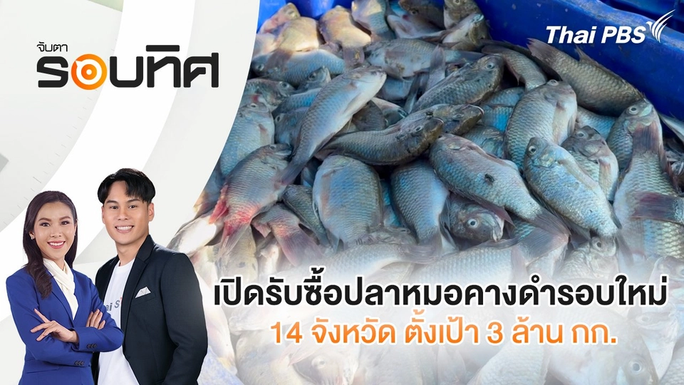 เปิดรับซื้อปลาหมอคางดำรอบใหม่ 14 จังหวัด ตั้งเป้า 3 ล้าน กก. | จับตารอบทิศ | 15 พ.ค. 68