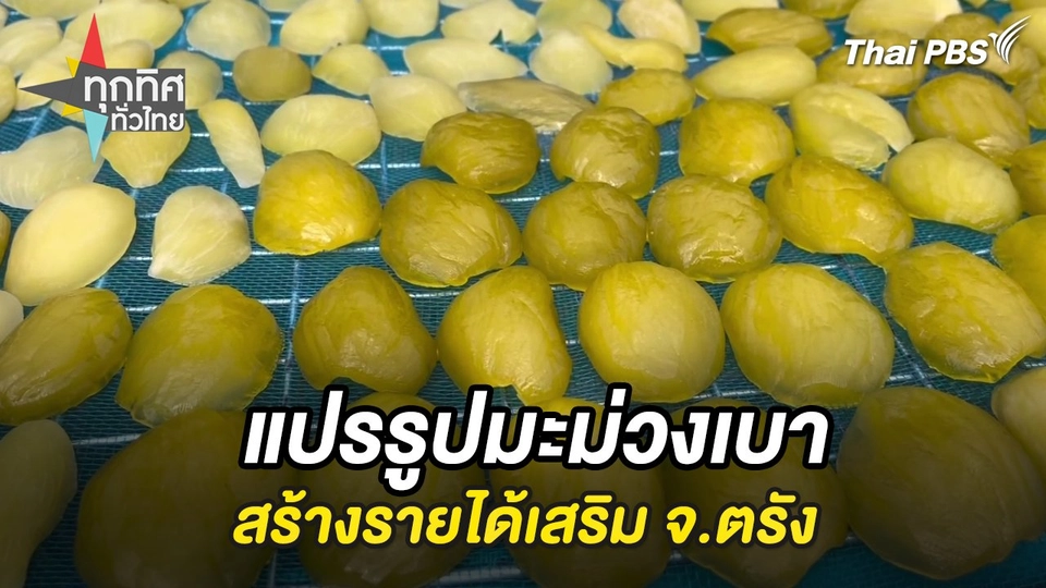 แปรรูปมะม่วงเบาสร้างรายได้เสริม จ.ตรัง