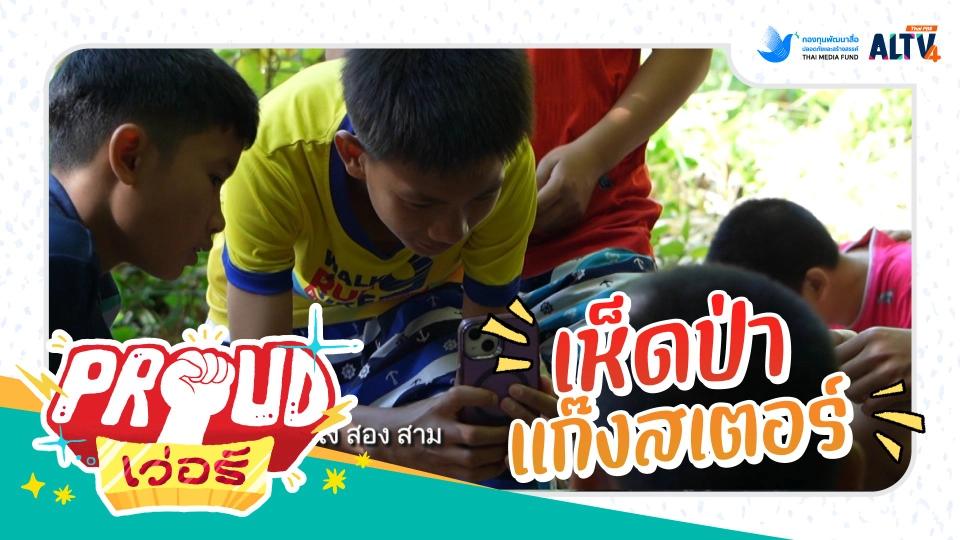 เห็ดป่าแก๊งสเตอร์